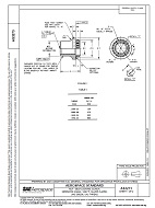 SAE AS3273