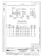 SAE AS4307B