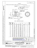 SAE AS5838