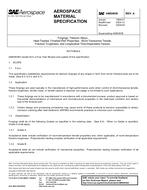 SAE AMS4938A