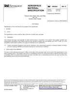 SAE AMS4903B