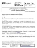 SAE AMS5841F