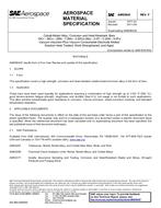 SAE AMS5843F