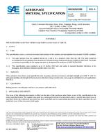 SAE AMS5629/H1000A