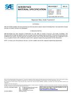 SAE AMSM45202B