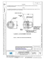SAE AS34591B