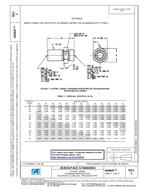 SAE AS6047C