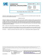 SAE AMSWWT700/5B
